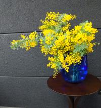 �����εٿ����Τ��Τ餻